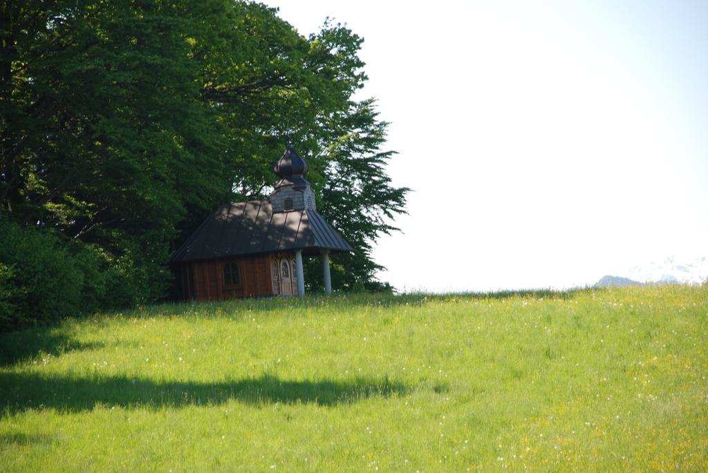 Landhaus Brieger Henndorf am Wallersee Ngoại thất bức ảnh
